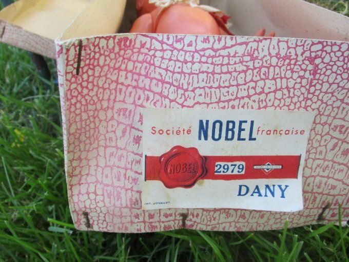 Dany snf en novoid