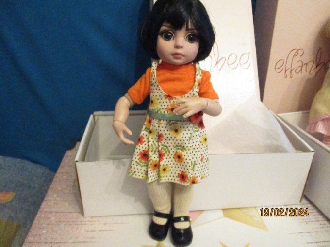 Superbe poupee robert tonner effanbee