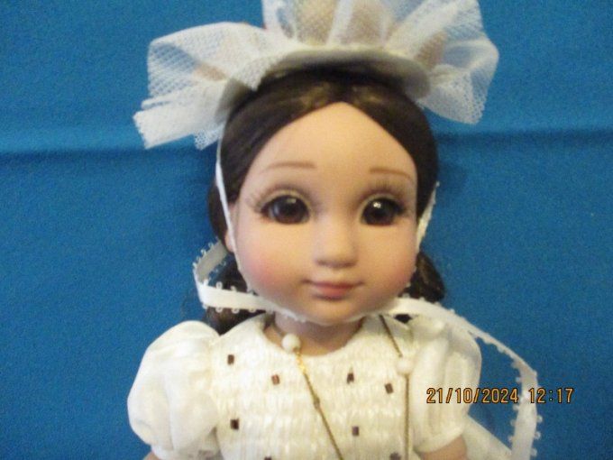 Superbe poupee robert tonner effanbee