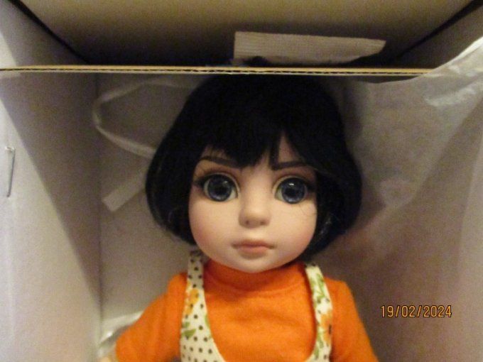 Superbe poupee robert tonner effanbee