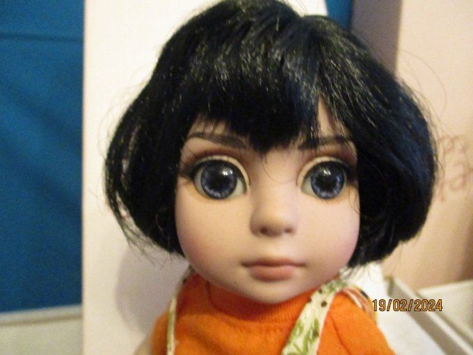 Superbe poupee robert tonner effanbee
