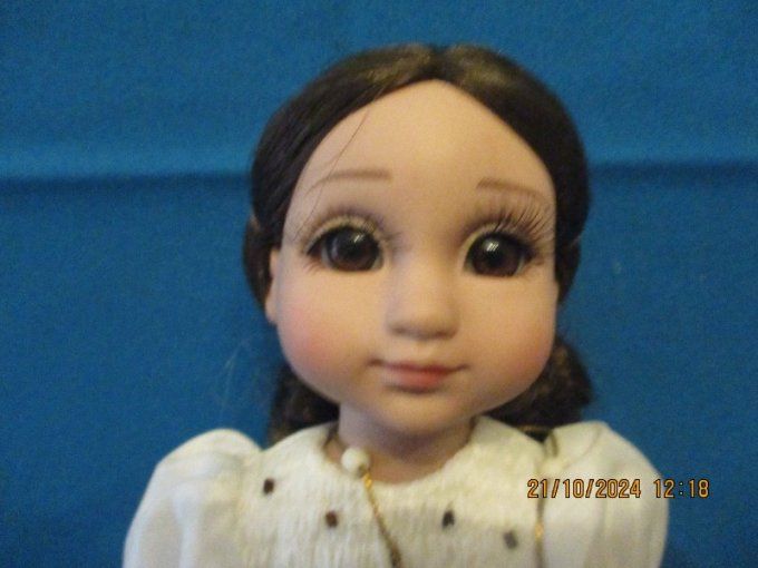 Superbe poupee robert tonner effanbee