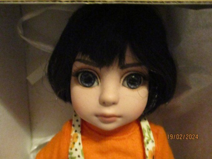 Superbe poupee robert tonner effanbee