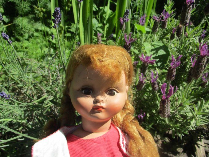 poupee bella rodhoid