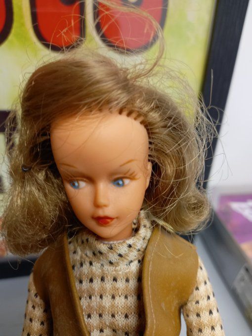 Tressy exposition  canine