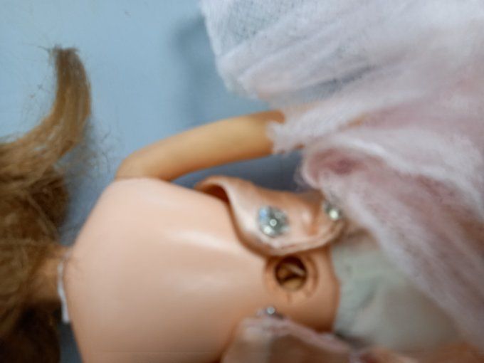 Tressy américain  character 