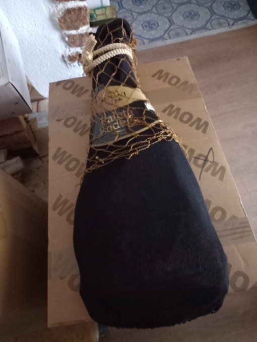 Robe pour Marie francoise 
